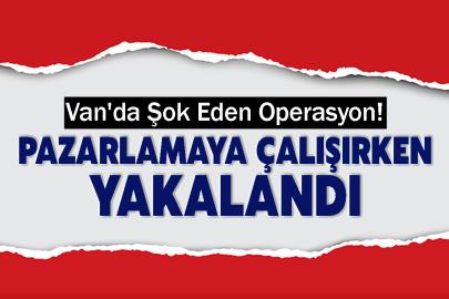 Van'da Şok Eden Operasyon! Pazarlamaya Çalışırken Yakalandı
