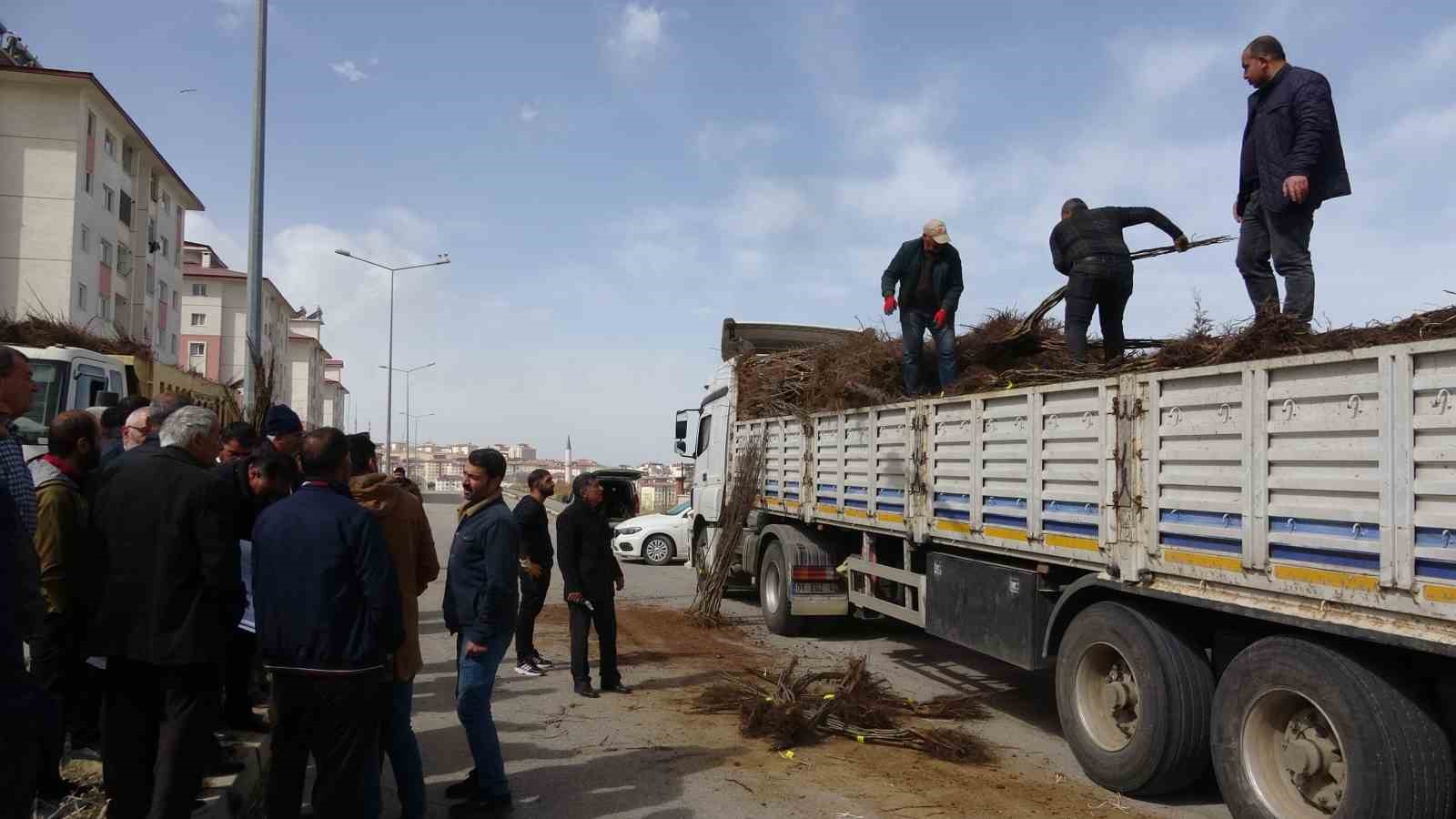 Van’da 31 bin adet meyve fidanı dağıtıldı