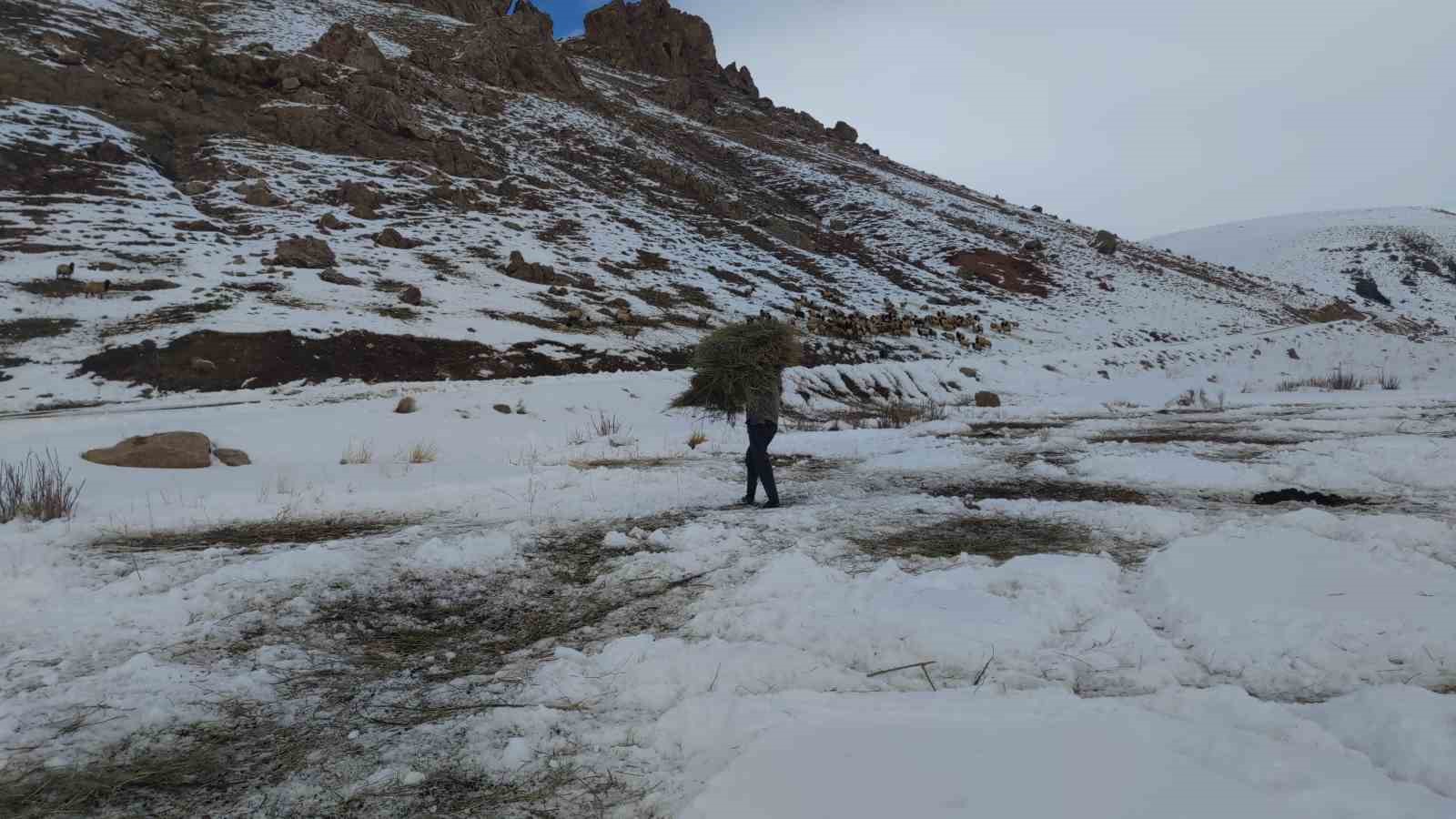 Van’da besicilerin zorlu kış mesaisi