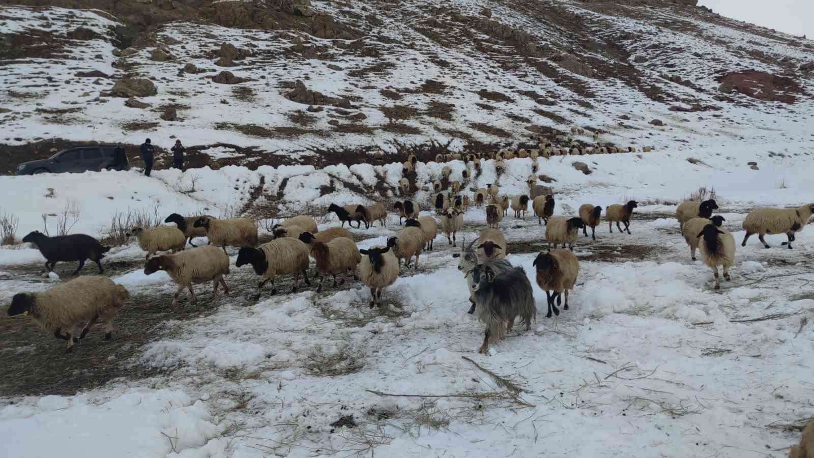 Van’da besicilerin zorlu kış mesaisi