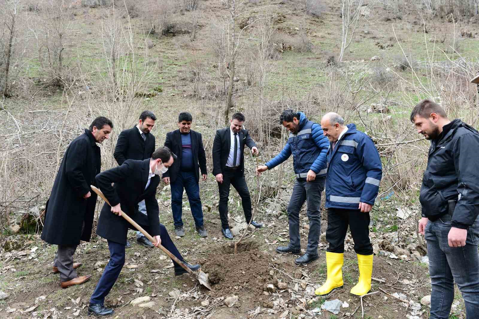 Çatak’ta 19 bin 250 ceviz fidanı dağıtıldı