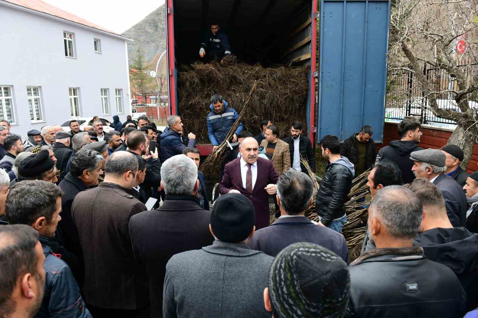 Çatak’ta 19 bin 250 ceviz fidanı dağıtıldı