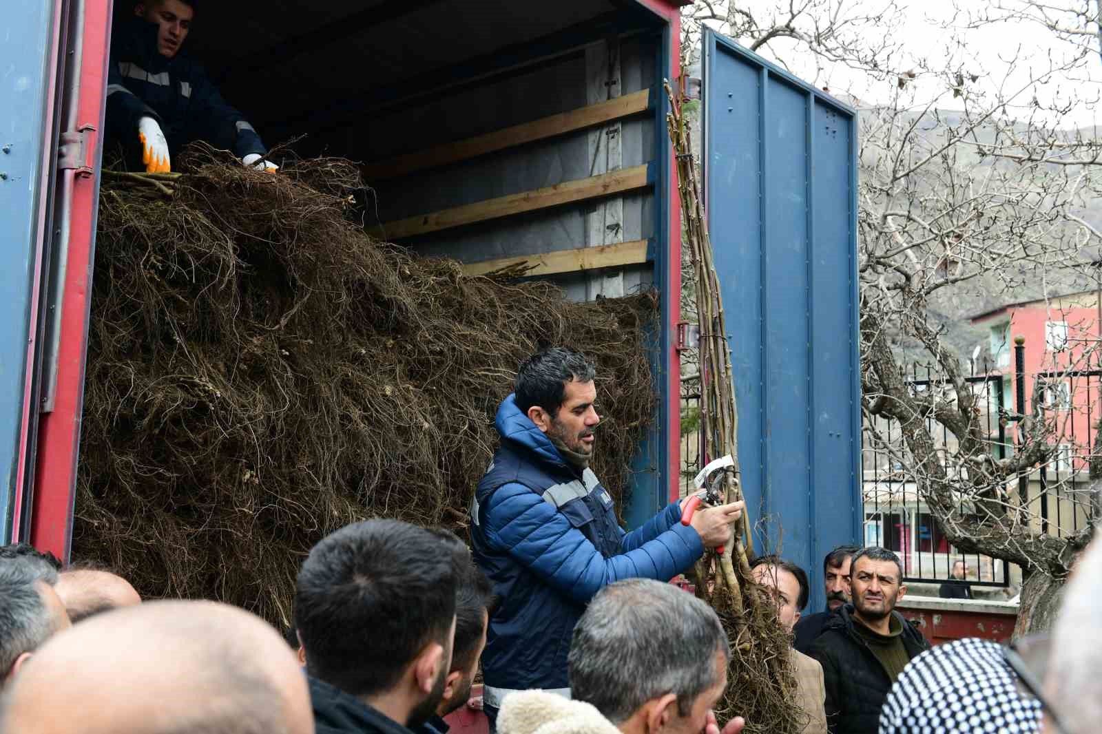 Çatak’ta 19 bin 250 ceviz fidanı dağıtıldı