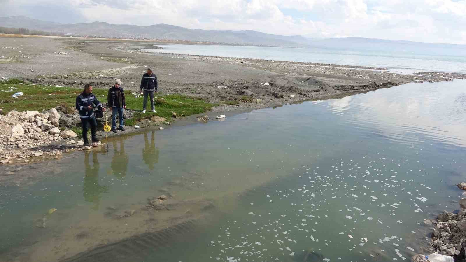 Van Gölü’ndeki inci kefallerinin göçü geç başlayacak