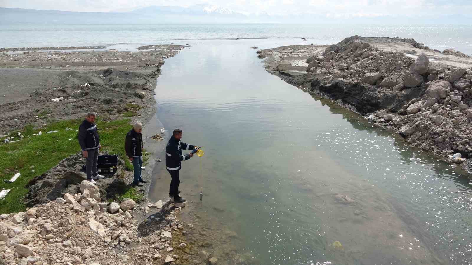 Van Gölü’ndeki inci kefallerinin göçü geç başlayacak