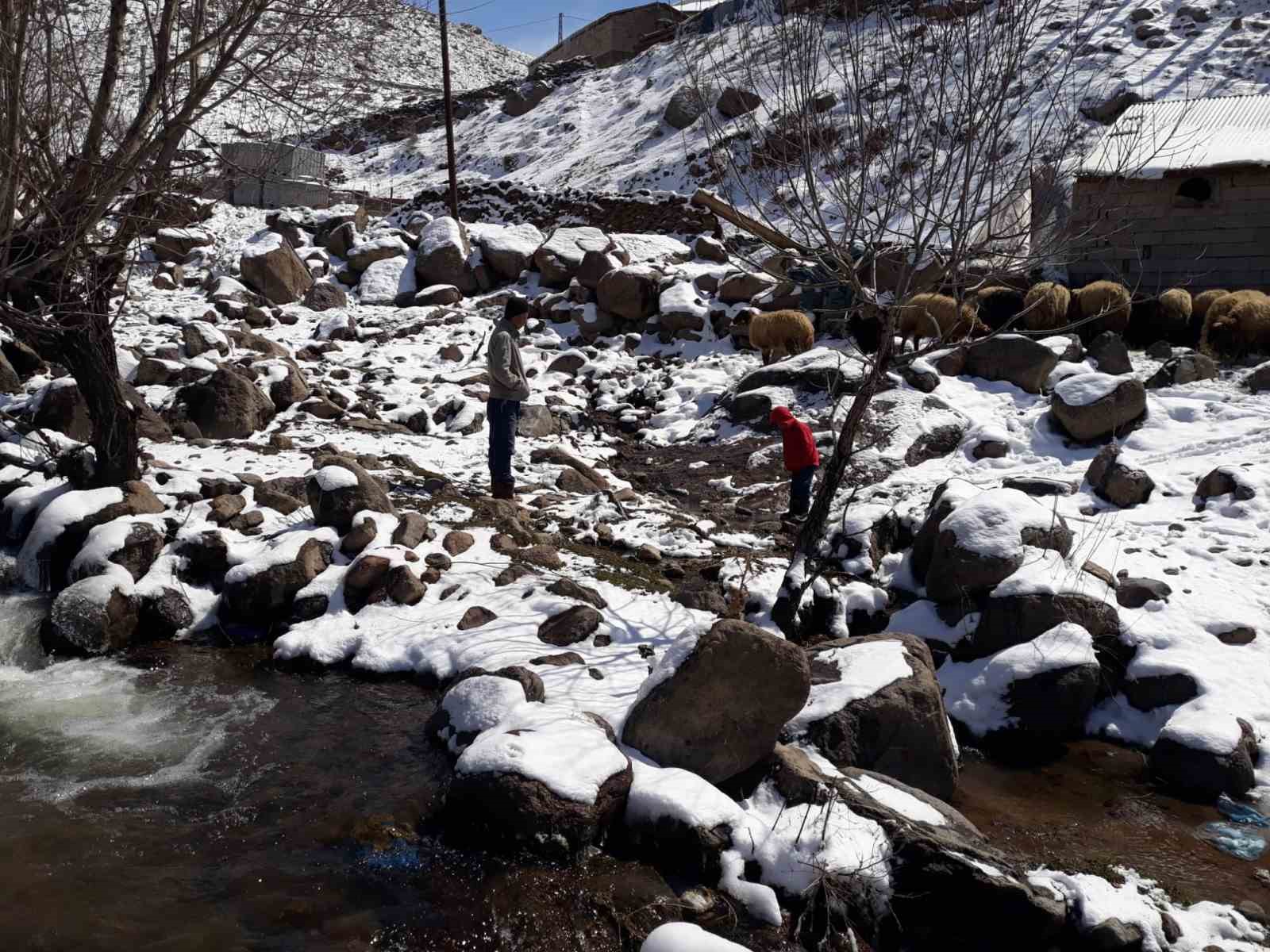 Erciş’te kar yağışı hayvan yetiştiricilerine zor anlar yaşattı