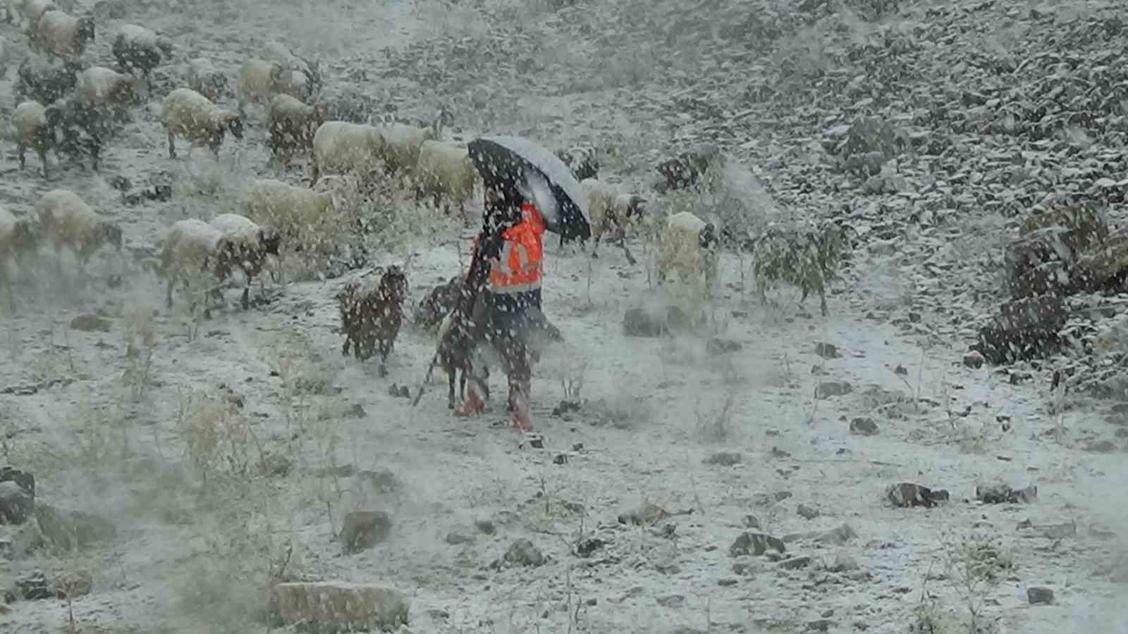 Van’ın yüksek kesimlerine kar yağdı, çobanlar zor anlar yaşadı