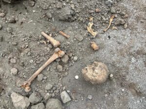 Van'da İnsan kemikleri çıktığı inşaat kazısında yeni gelişme