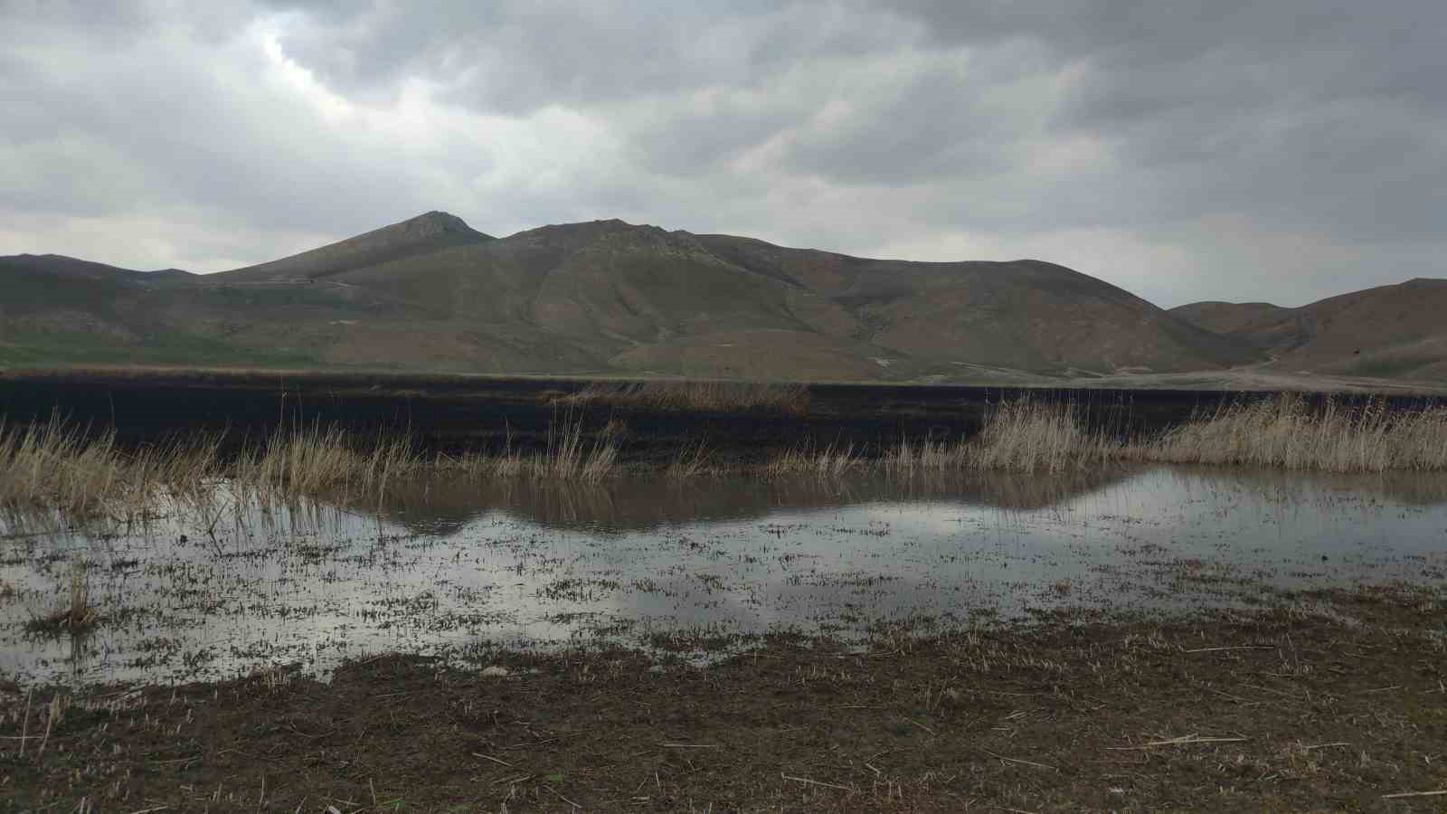 Van’da sazlık alanı yakan şahsa 244 bin TL idari para cezası uygulandı