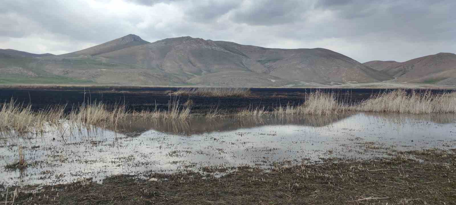 Van’da sazlık alanı yakan şahsa 244 bin TL idari para cezası uygulandı