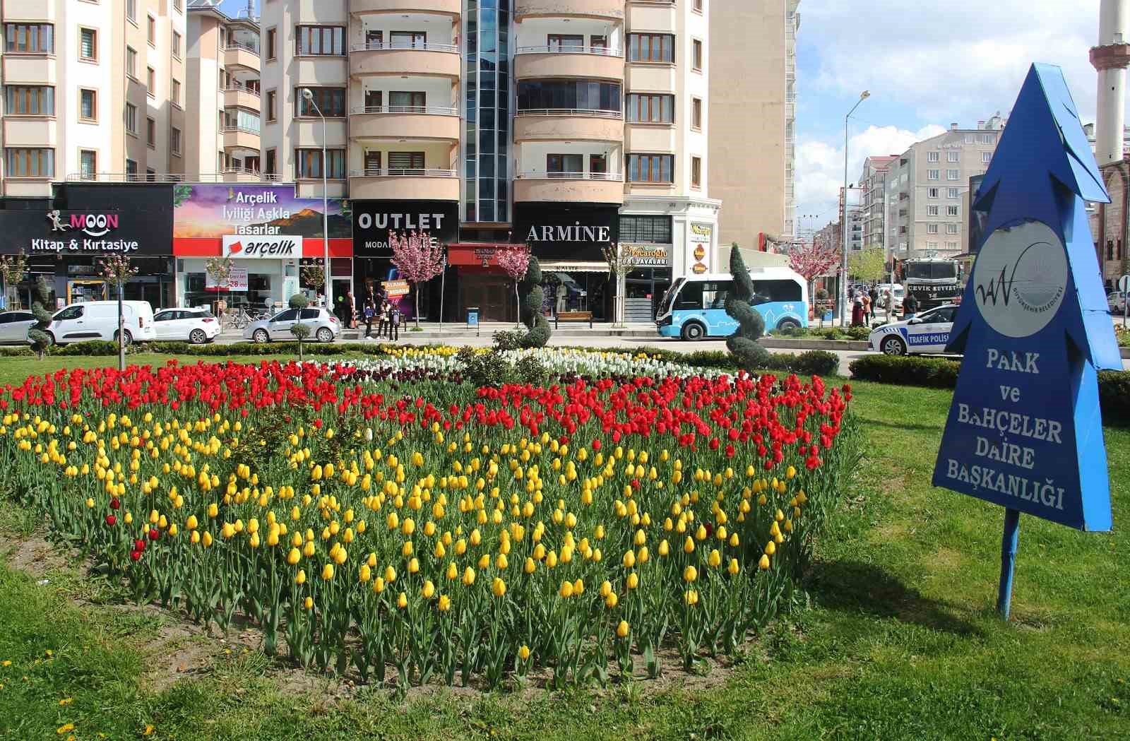 Laleler park ve bahçeleri renklendirdi