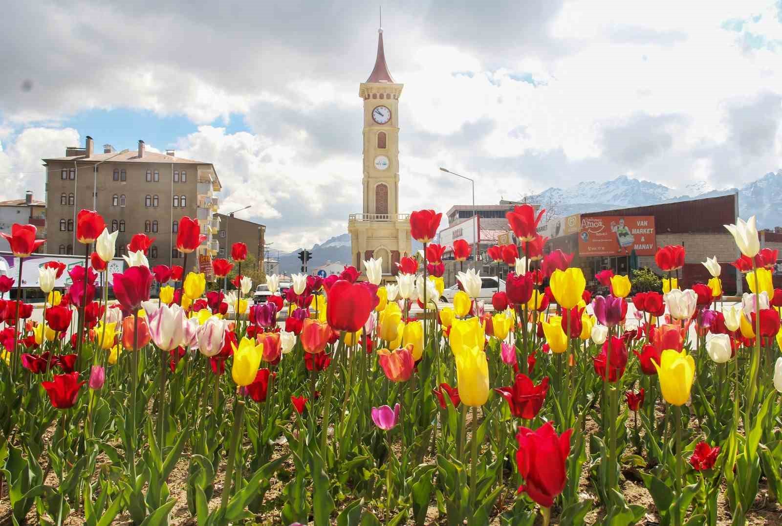 Laleler park ve bahçeleri renklendirdi