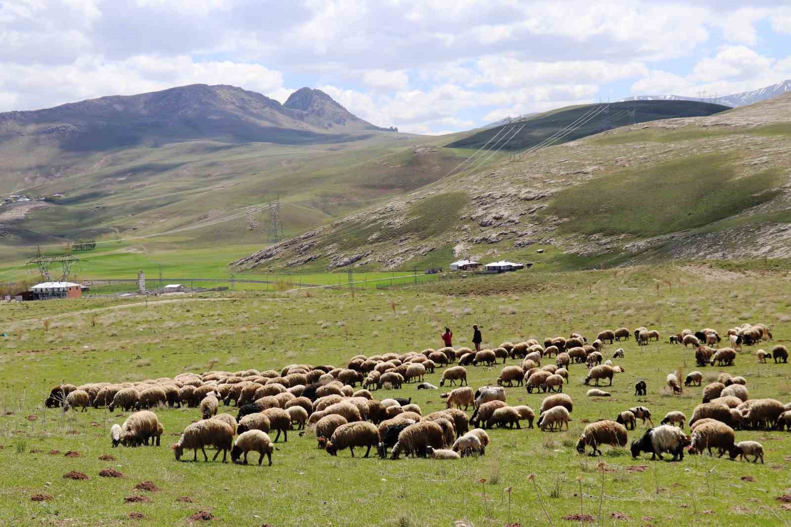 ‘Köyümde Yaşamak İçin Bir Sürü Nedenim Var’ projesi çitçilerin yüzünü güldürdü