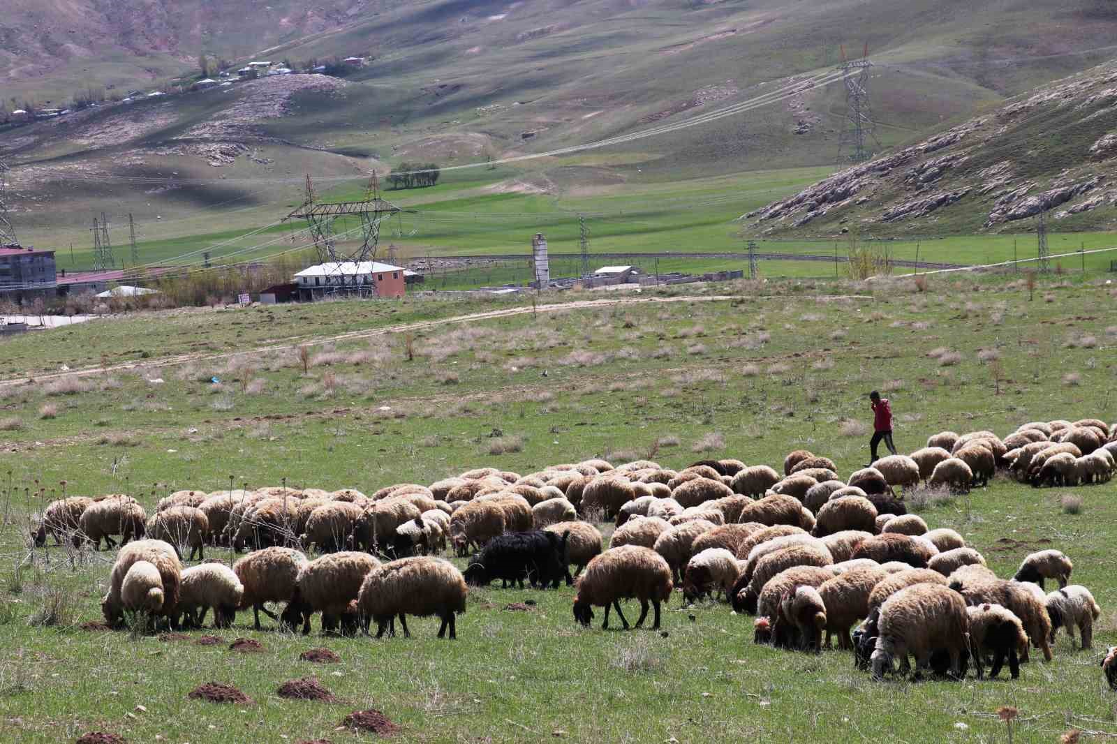 ‘Köyümde Yaşamak İçin Bir Sürü Nedenim Var’ projesi çitçilerin yüzünü güldürdü