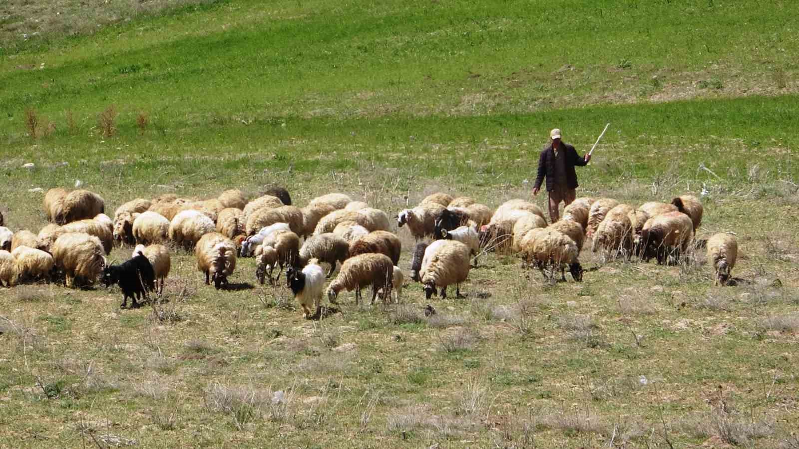 ‘Köyümde Yaşamak İçin Bir Sürü Nedenim Var’ projesi çitçilerin yüzünü güldürdü