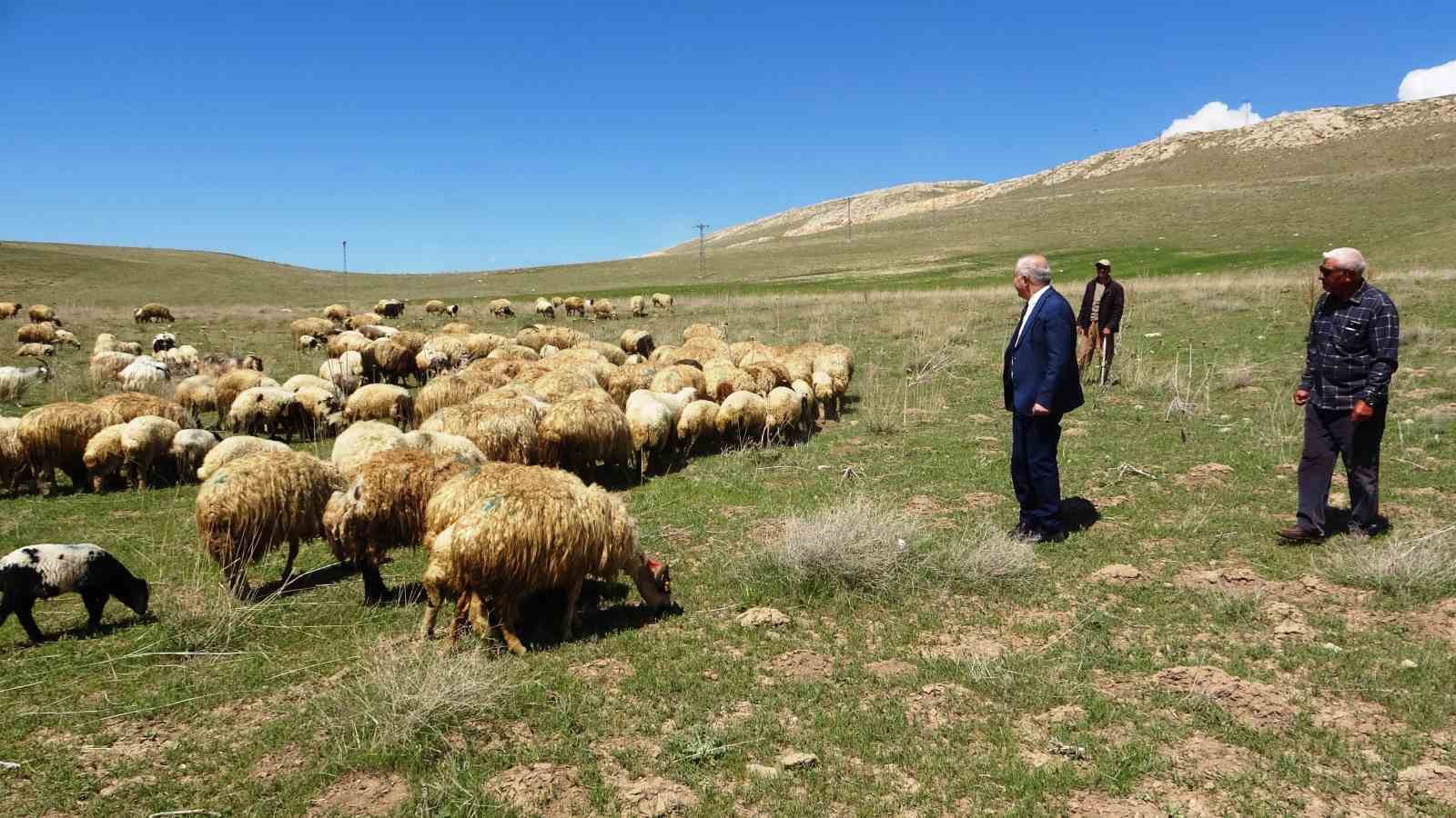 ‘Köyümde Yaşamak İçin Bir Sürü Nedenim Var’ projesi çitçilerin yüzünü güldürdü