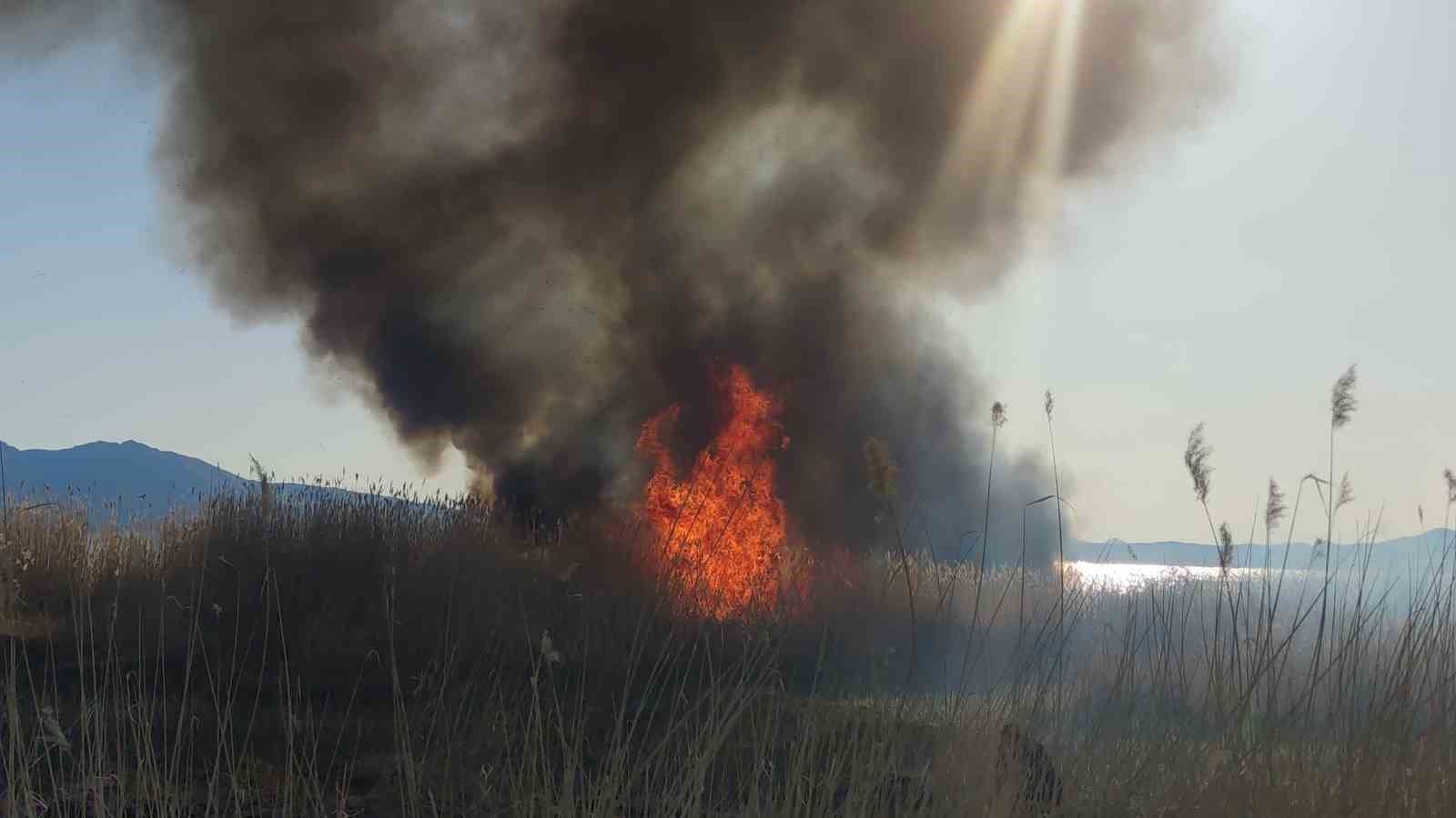 Van’da sazlık yangınları devam ediyor