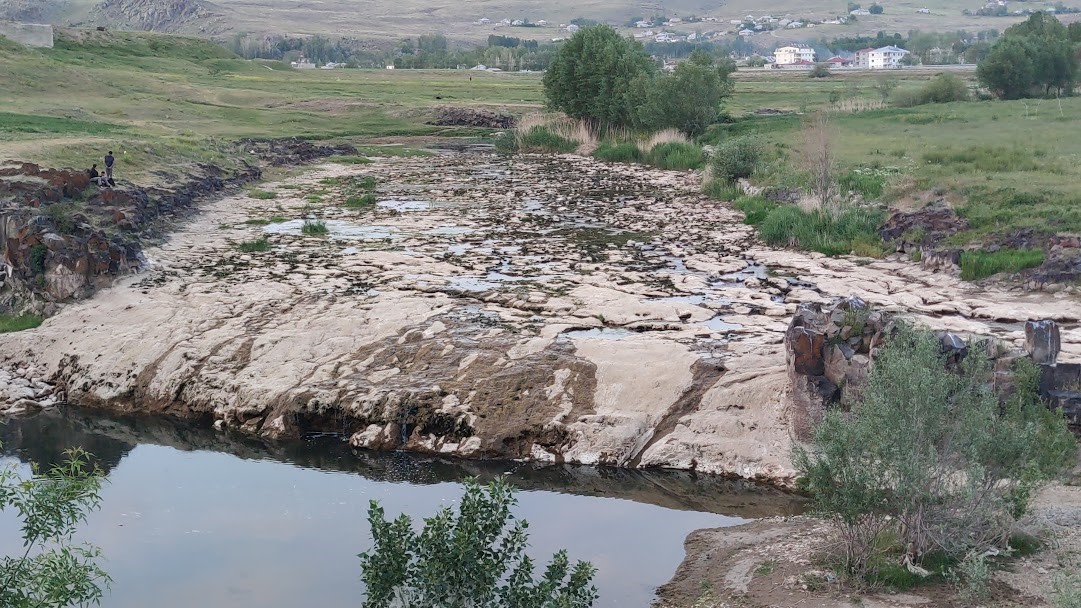 İnci kefalinin yaşamı tehlike altında