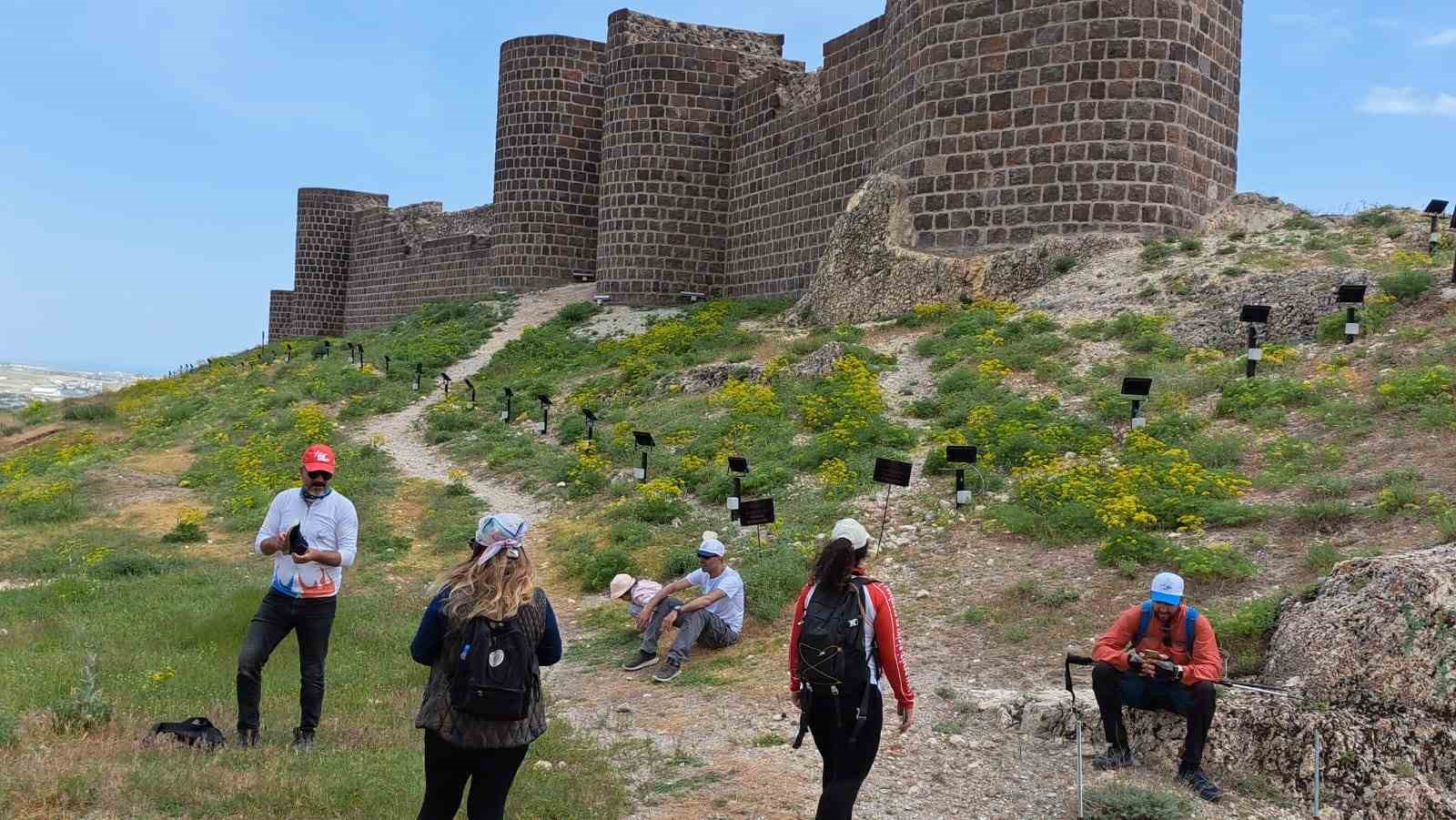 Van Gölü Aktivistleri Derneği üyelerinden doğa yürüyüşü