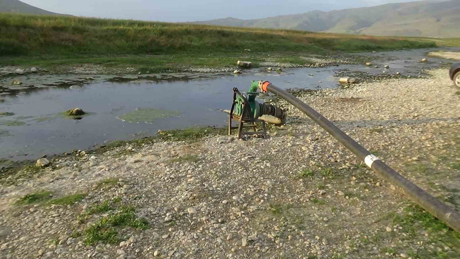 İnci kefalini geri dönüş yolunda susuzluk tehlikesi bekliyor