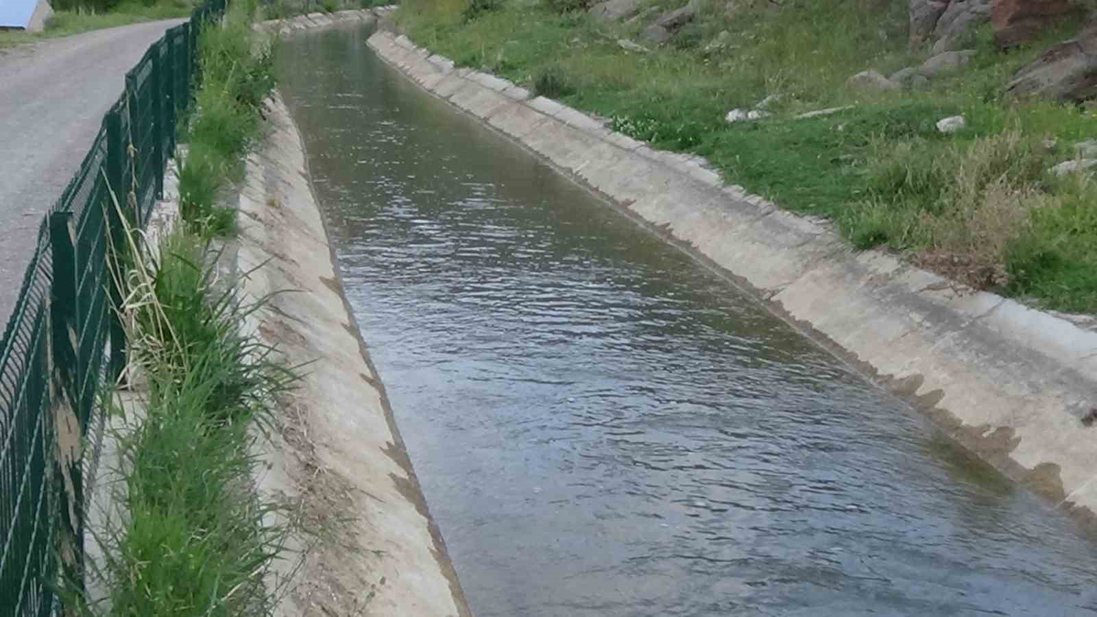 İnci kefalini geri dönüş yolunda susuzluk tehlikesi bekliyor