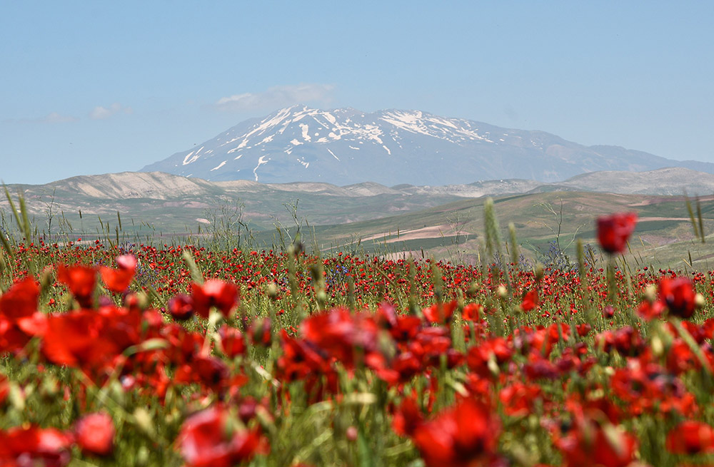 Doğaseverler yeni rotalar için doğadalar