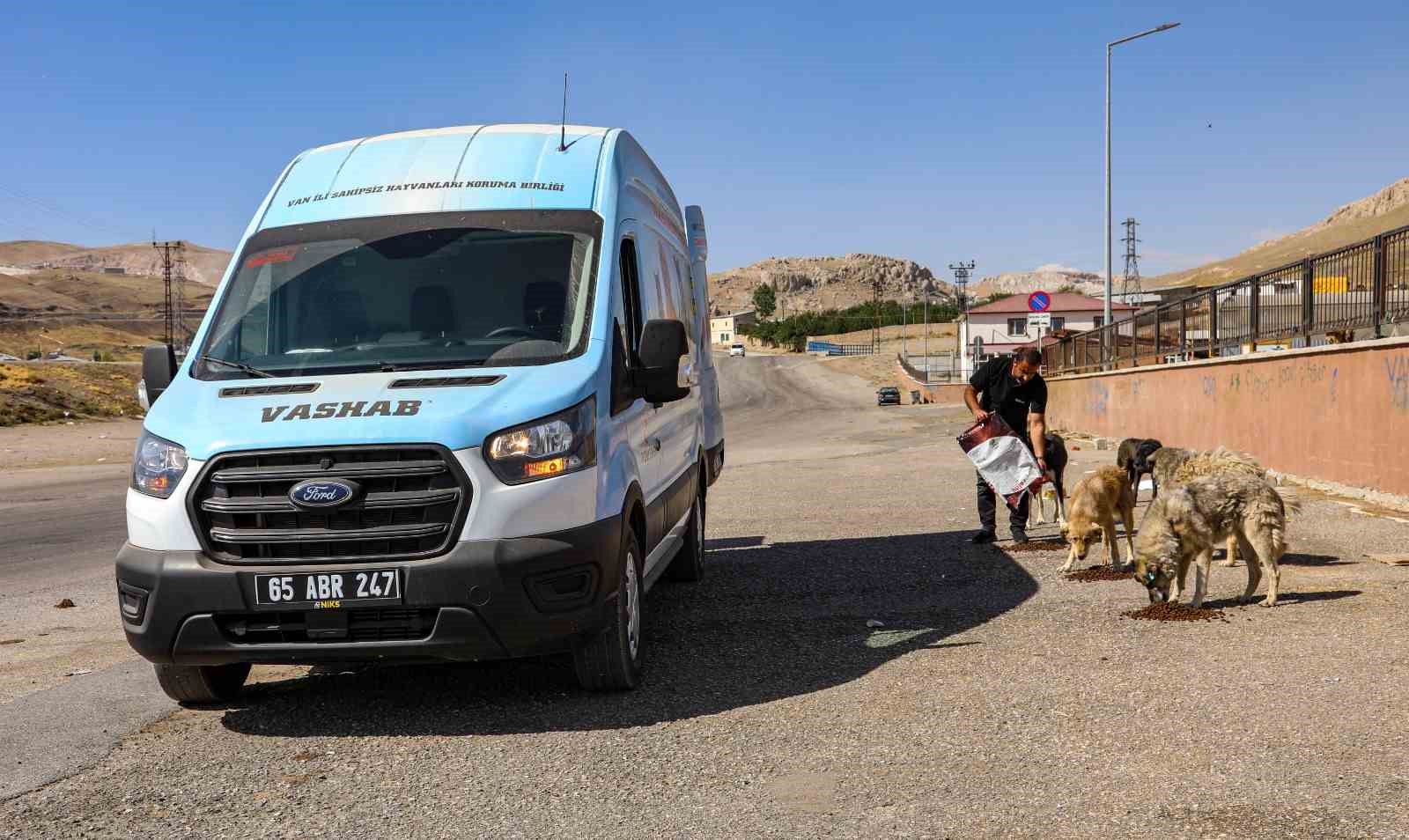 Van Sahipsiz Hayvanlar Birliği sokak hayvanları için çalışıyor