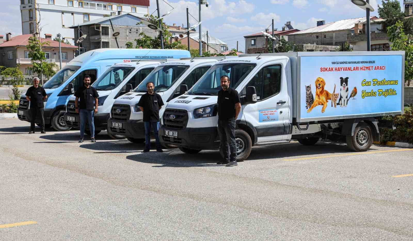 Van Sahipsiz Hayvanlar Birliği sokak hayvanları için çalışıyor