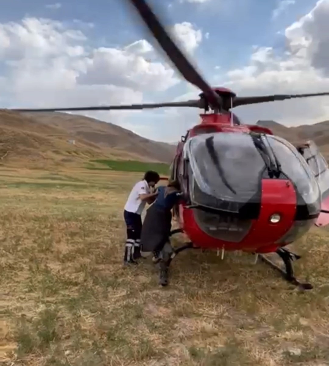 Van’da arı sokmasıyla rahatsızlanan kadın ambulans helikopterle hastaneye kaldırıldı