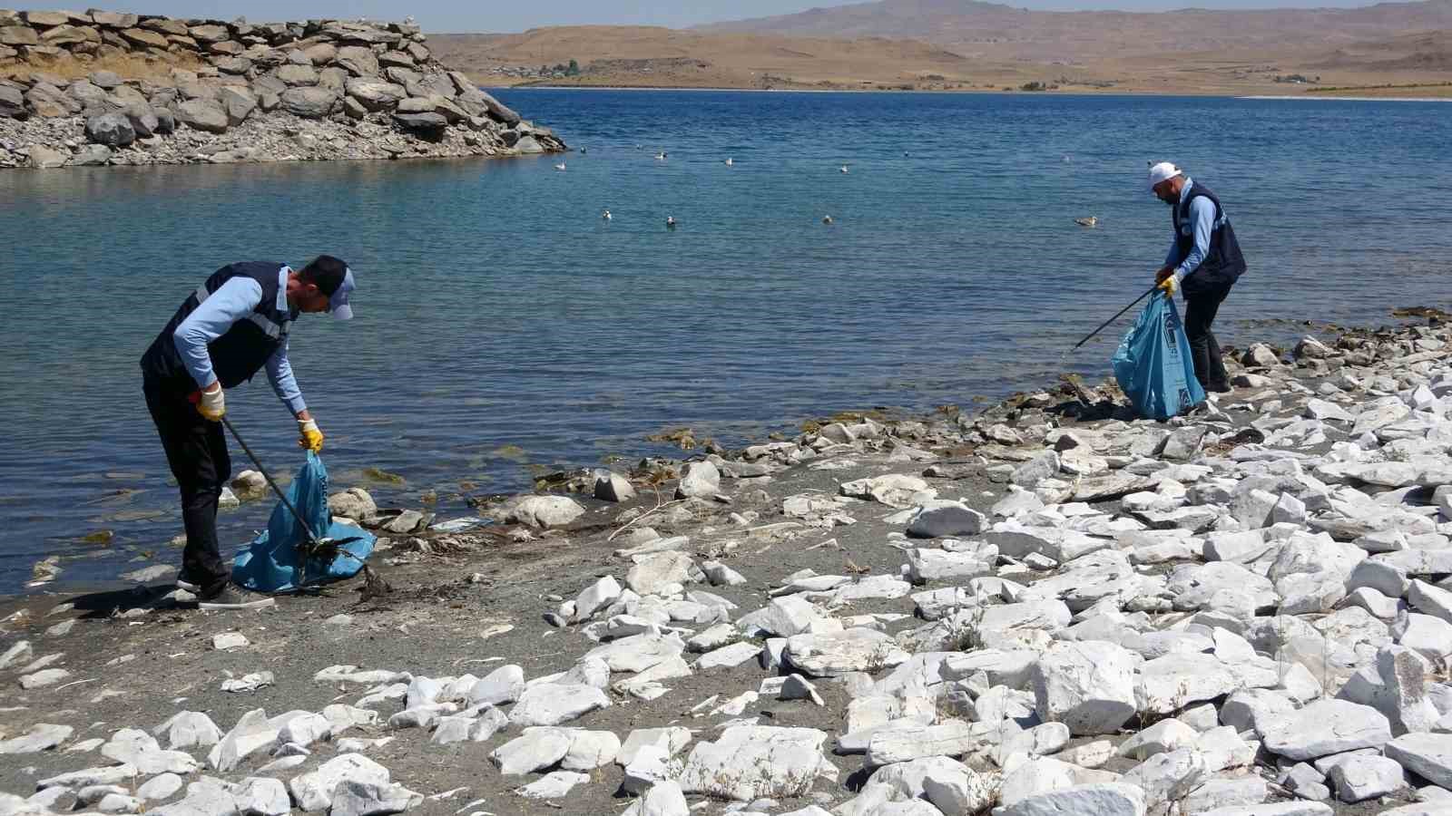 Van Gölü’ndeki martı ölümleri belediyeleri harekete geçirdi