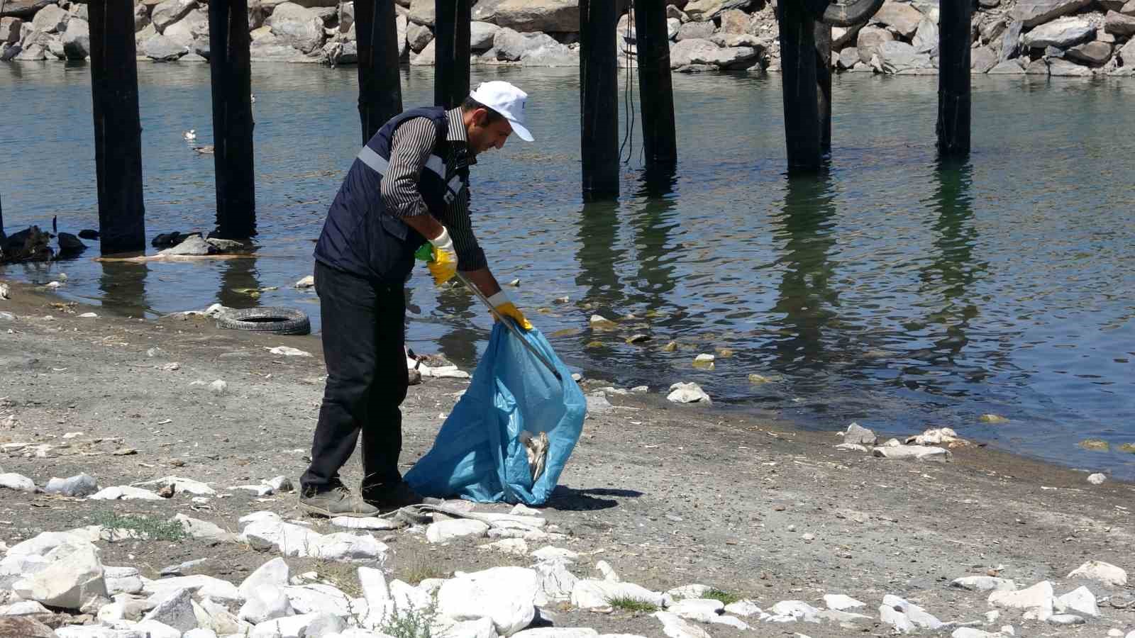 Van Gölü’ndeki martı ölümleri belediyeleri harekete geçirdi