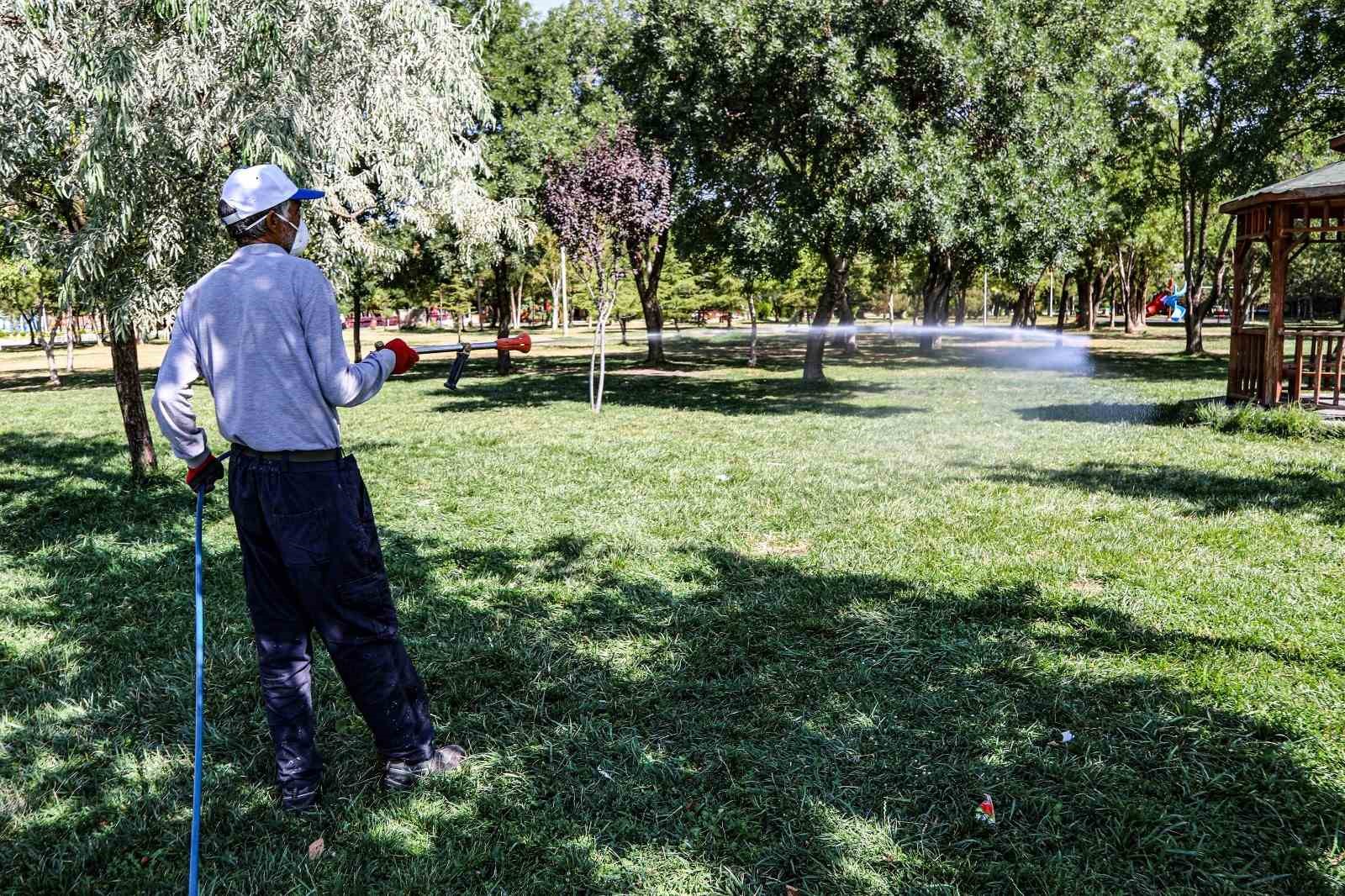 Van’da kent zararlılarına karşı ilaçlama çalışması