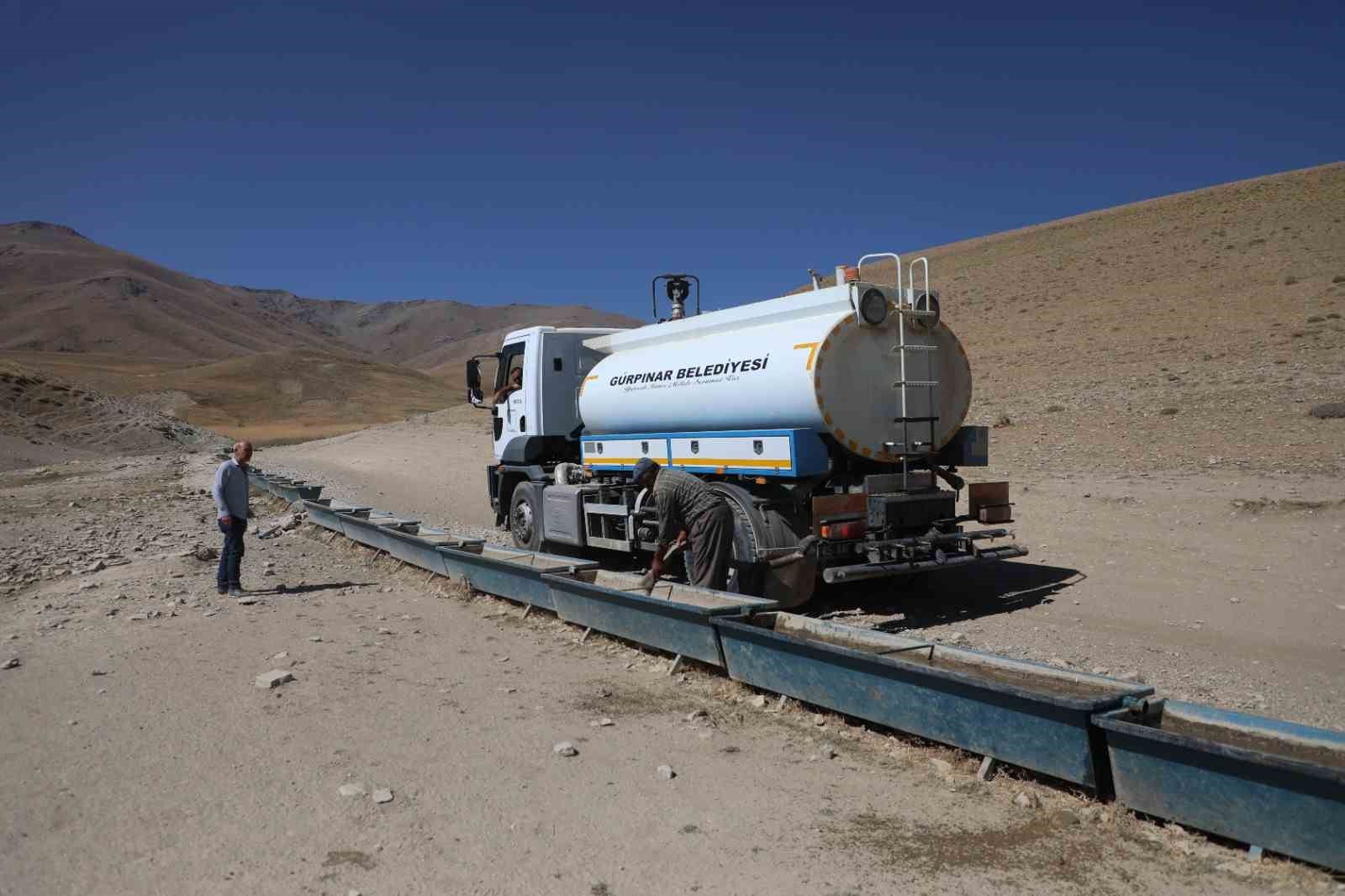 Susuz kalan koyun sürülerine tankerle su sevkiyatı