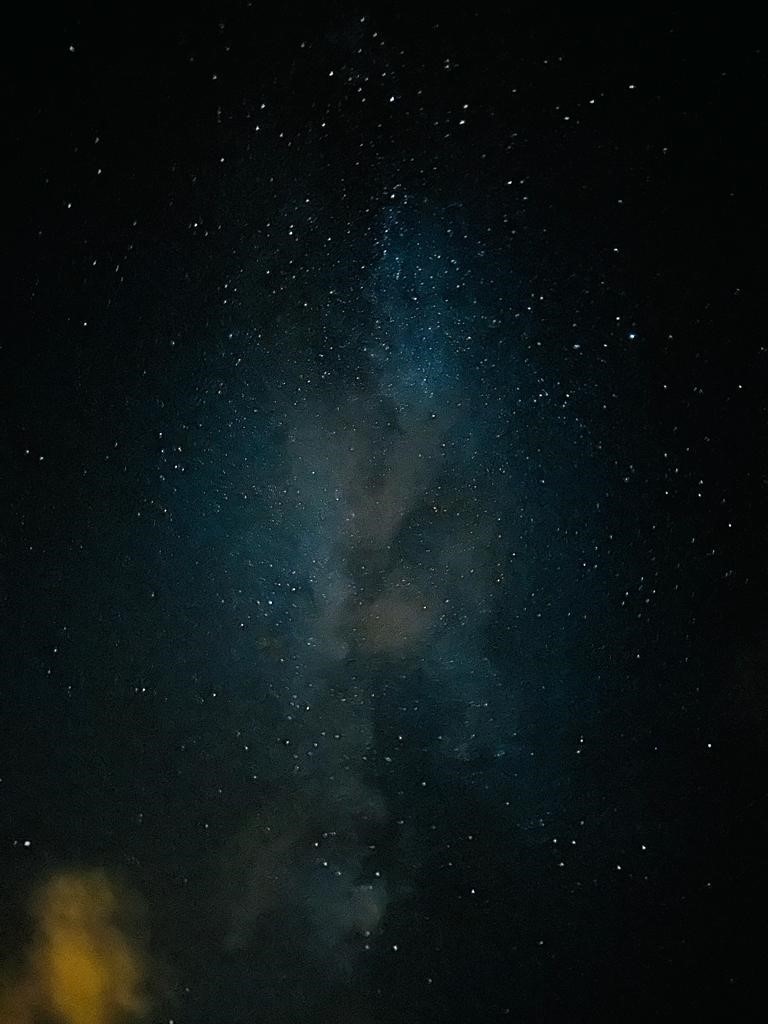 Doğaseverler meteor yağmurunu gözlemledi