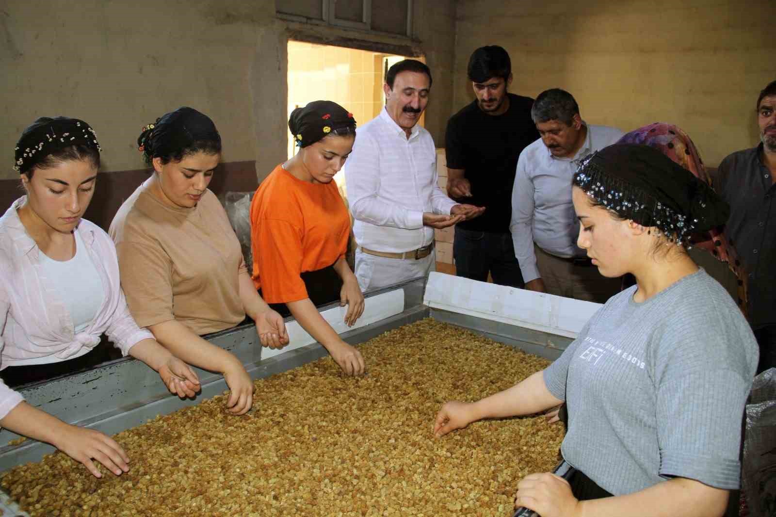 Başkan Süer’den çiftçilere büyük müjde