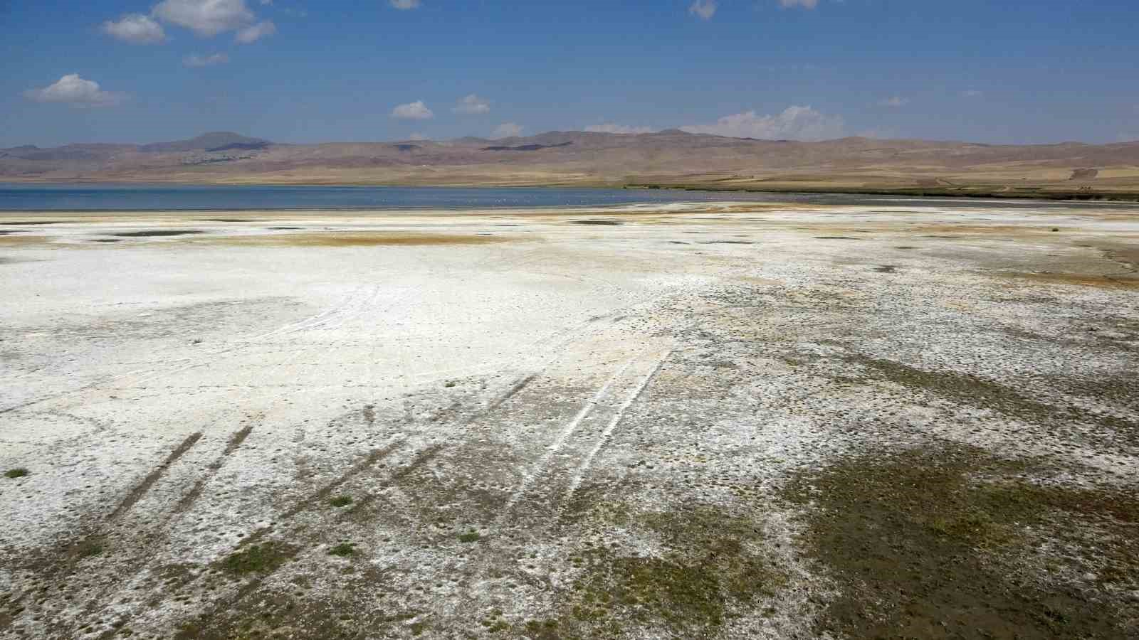 Kuş cenneti Erçek Gölü’nün kıyı şeridi buhar oldu