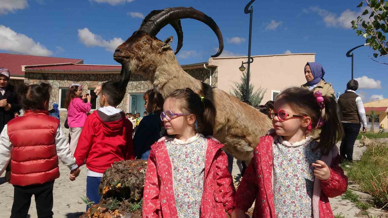 Minik öğrenciler yaban hayvanlarını yakından gördü
