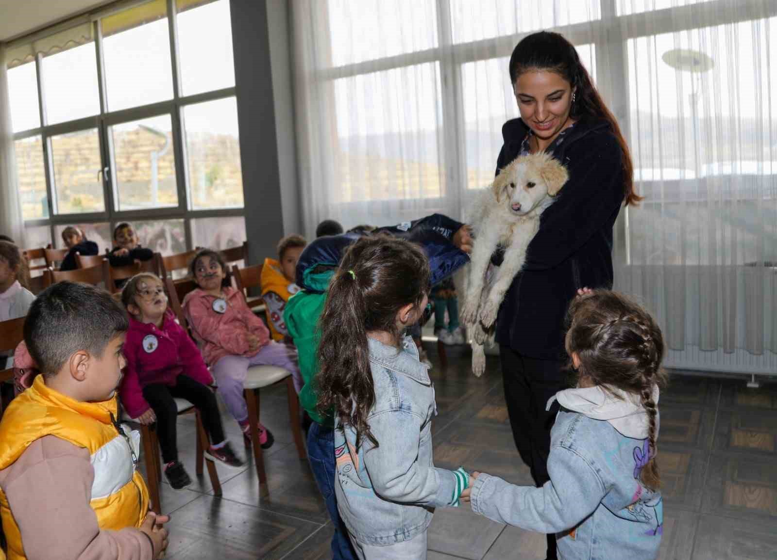 Van Büyükşehir Belediyesinden ‘Hayvanları Koruma Günü’ne özel etkinlik