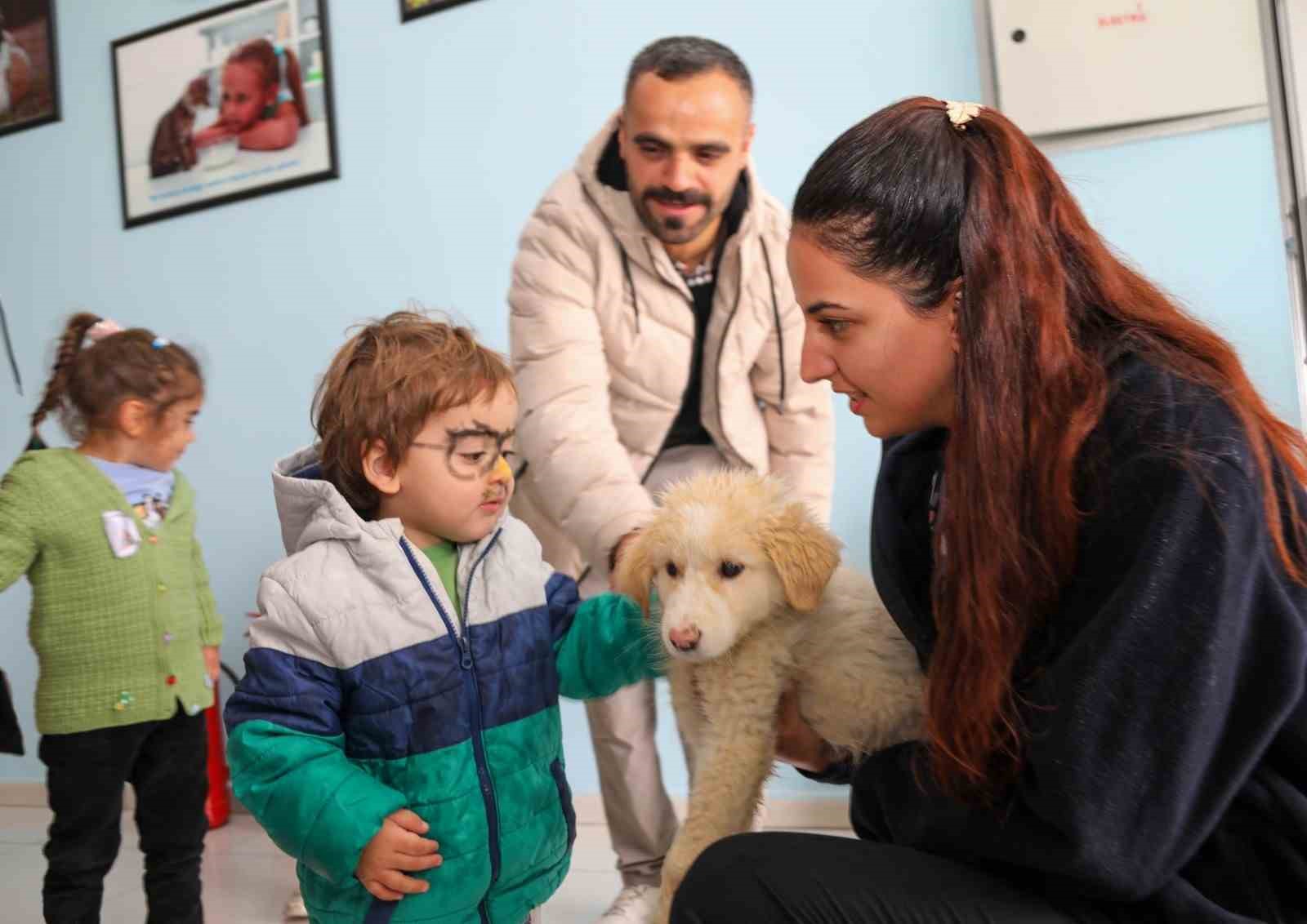 Van Büyükşehir Belediyesinden ‘Hayvanları Koruma Günü’ne özel etkinlik