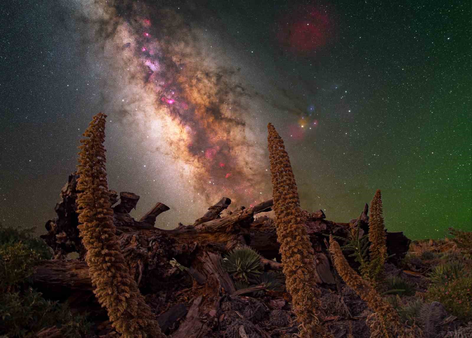 Türk astrofotoğrafçı Güneş fotoğrafı ile ödül kazandı