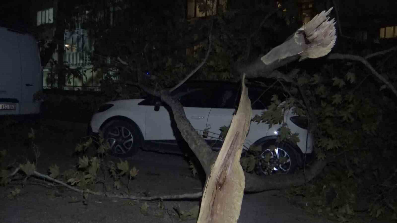 Ağaç ve elektrik direği araçların üzerine devrildi, 2 araç hasar aldı