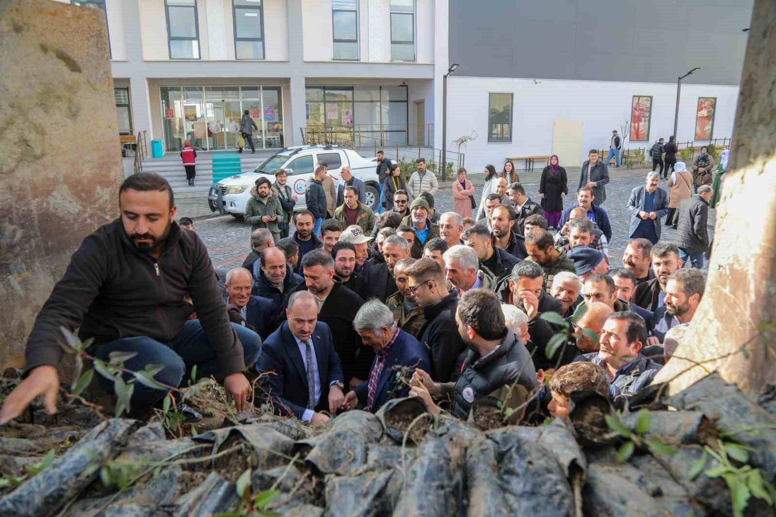 Başkale’de 10 bin badem ve ceviz fidanı dağıtıldı