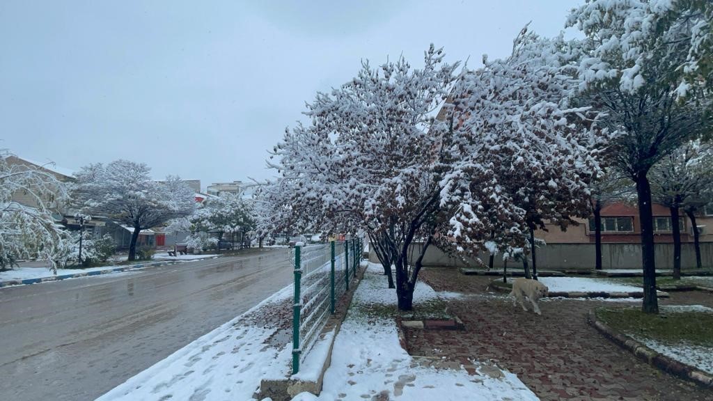 Muradiye’de kar yağışı
