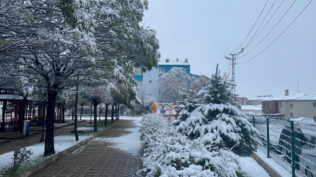Muradiye’de kar yağışı