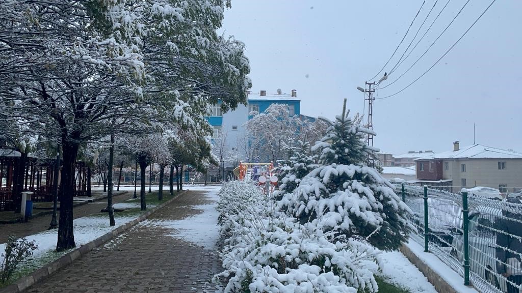 Muradiye’de kar yağışı