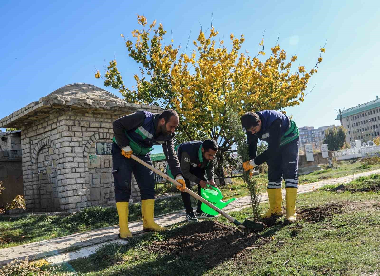 Van’daki 13 mezarlık alanına 3 bin 400 ağacın dikimine başlandı