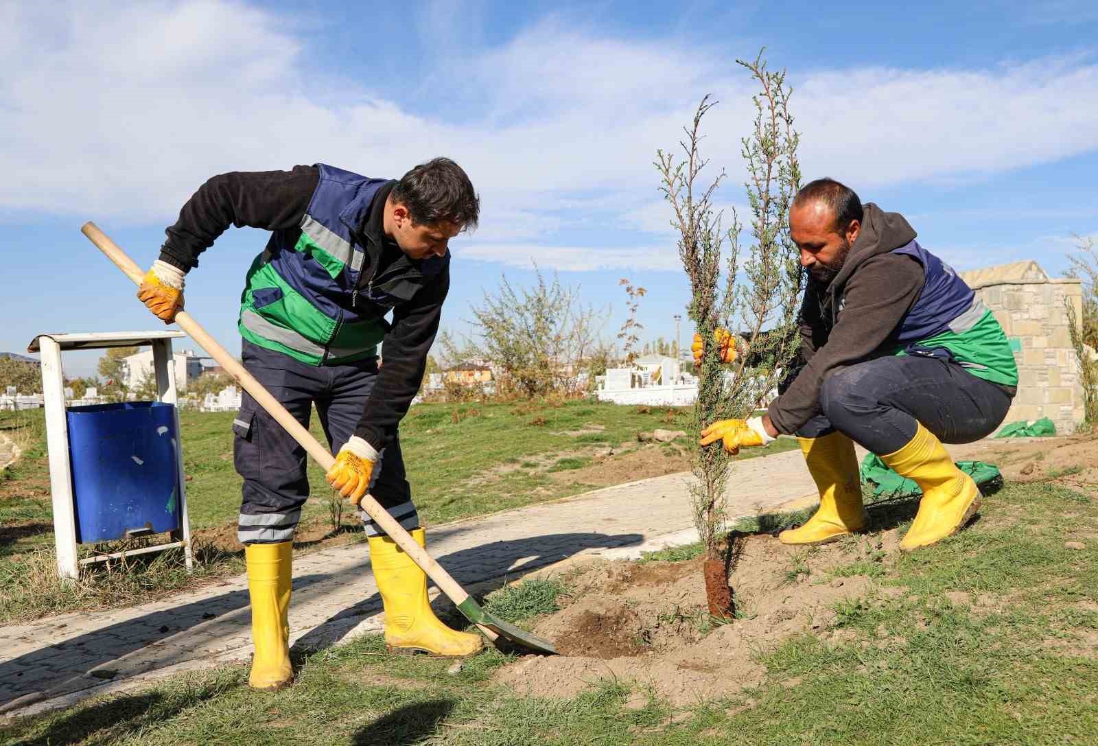 Van’daki 13 mezarlık alanına 3 bin 400 ağacın dikimine başlandı