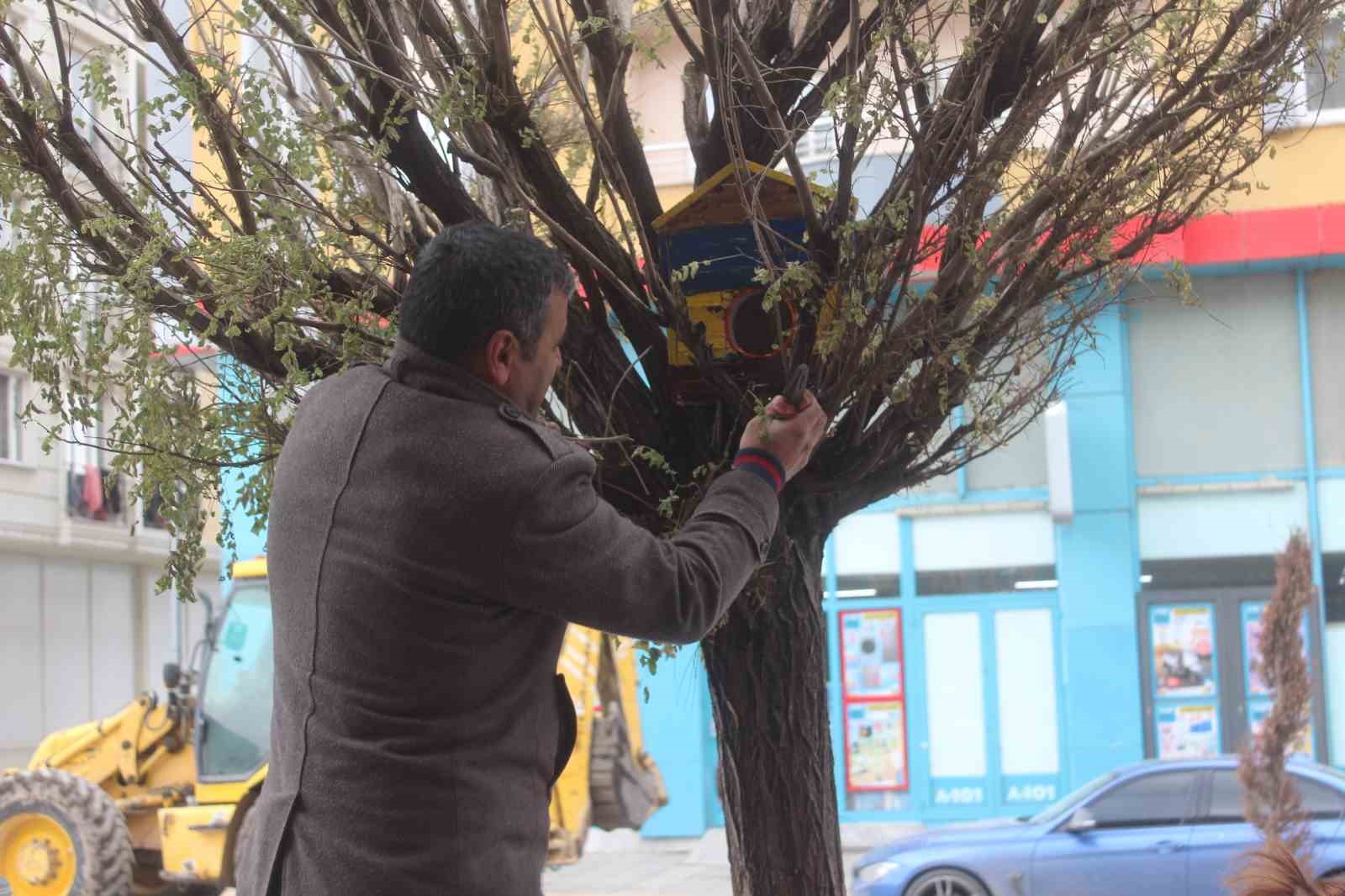 Özalpli öğrenciler 150 kuş evi yaparak çeşitli noktalara bıraktı