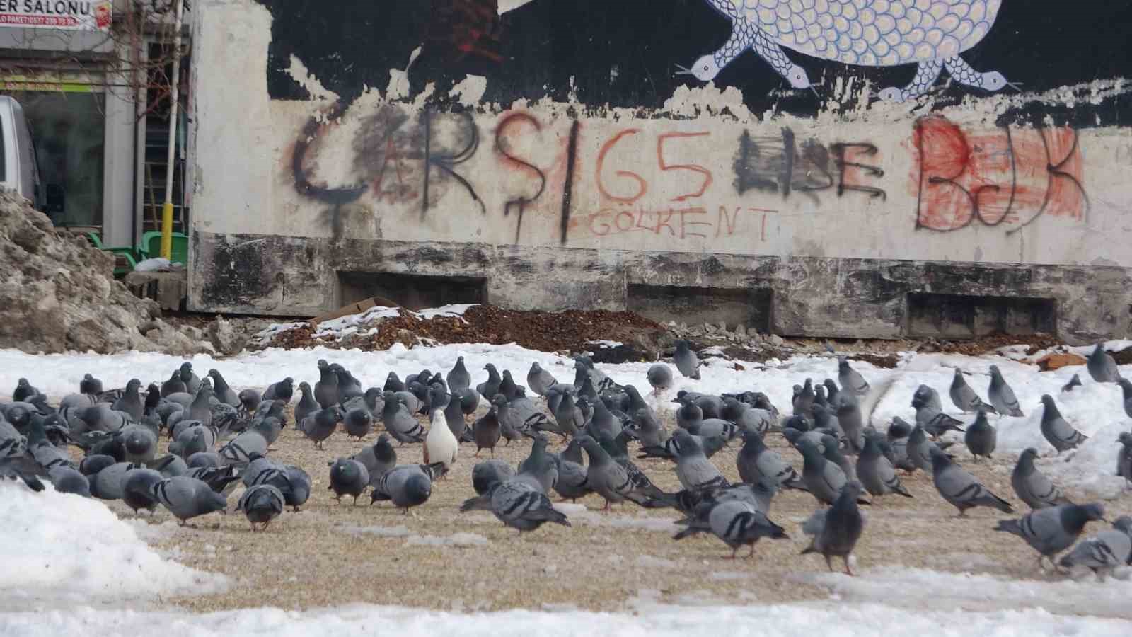 Yem kapmak için birbiriyle yarışan güvercinler görsel şölen oluşturdu