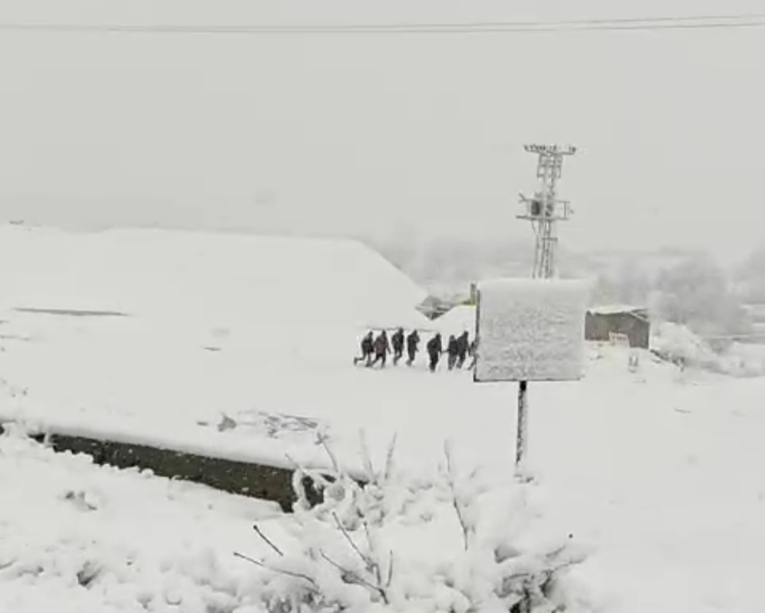 Kaçak göçmen taşıyan kamyonet kaza yaptı; 5 yaralı